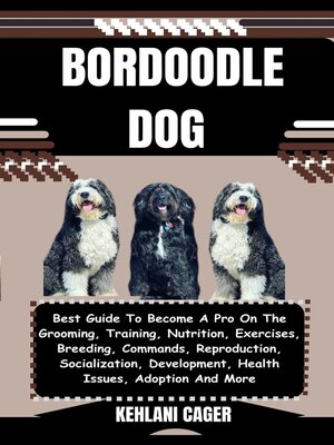 cover image of BORDOODLE DOG
